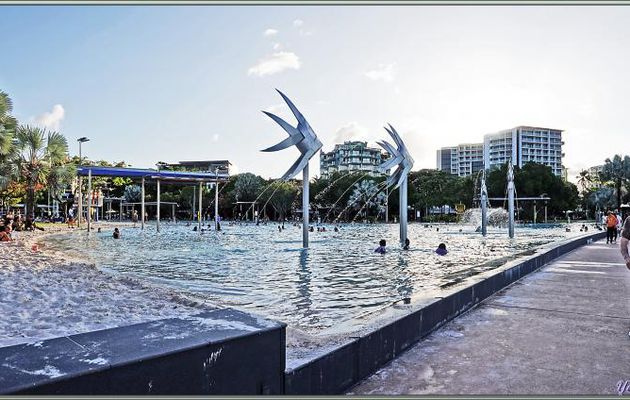 Sans trop traîner pour rentrer à pieds à l'hôtel (la nuit tombe très vite !) nous longeons la superbe promenade du bord de mer, surtout pour observer les oiseaux - Cairns - Australie