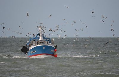 Trouville : Avant tout un port de pêche !