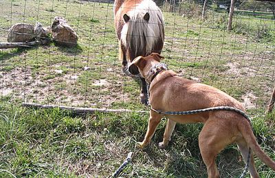 Farouk apprend tous les jours….. !!!