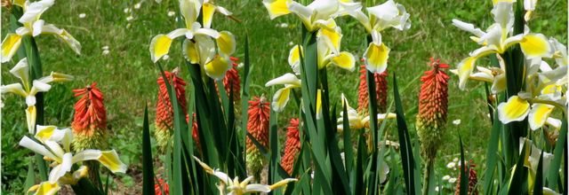 VOYAGE  ?  AU JARDIN 