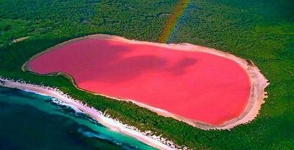La Nature nous en fait voir de toutes les couleurs ... 