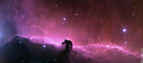 Plongée dans L'INFINIMENT GRAND