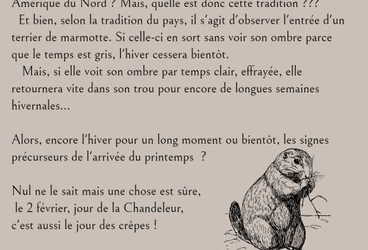 C'est le jour de la marmotte !