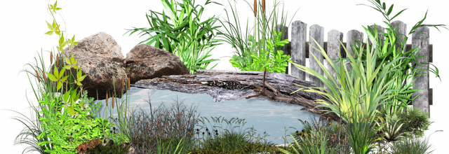 ѼVegetation