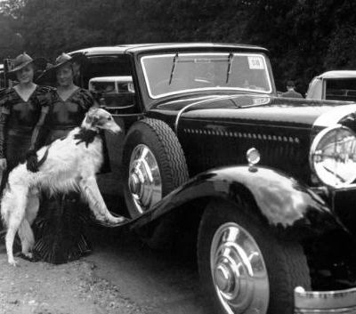 Concours d'élégance, encore