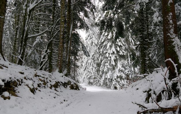 Le 15 décembre 2024 : Le tour du Golet Sapin