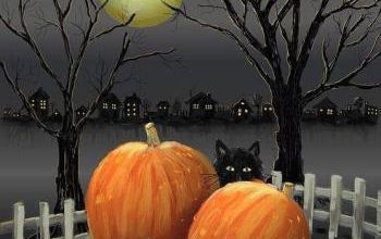 Chat noir et citrouilles
