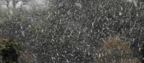 ... tombait la neige...
