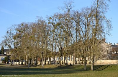 Rambouillet : Quelques clichés entre deux giboulées !! 