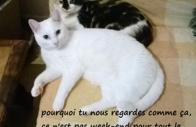 week end ...