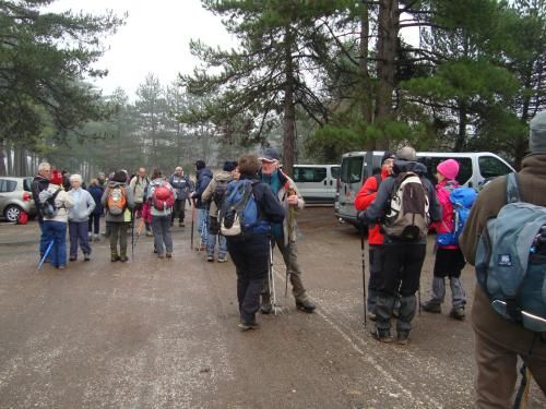 " La vierge des pins " 7 janvier