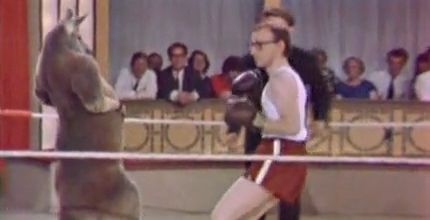 Woody Allen fait un combat de boxe contre un kangourou