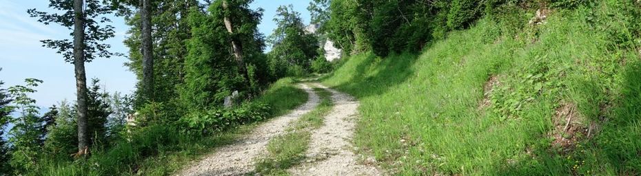 La croix de l'Alpe par le Pré Orcel