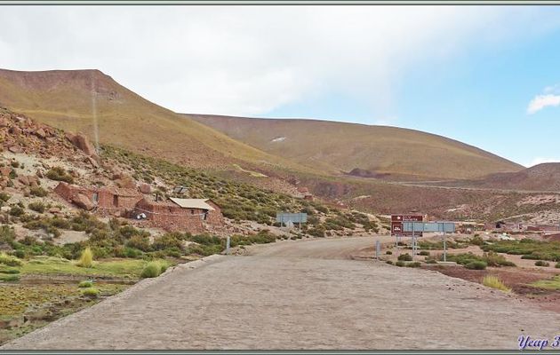 15/03/2022 après-midi, suite : piste en direction de la lagune du Rio Putana (alt. 4250 m) et rencontre avec des vigognes - San Pedro de Atacama - Chili
