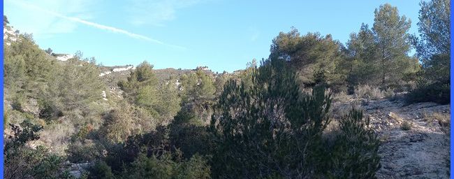 Massif de l'Etoile, Notre-Dame du Rot et le Pilon du Roi