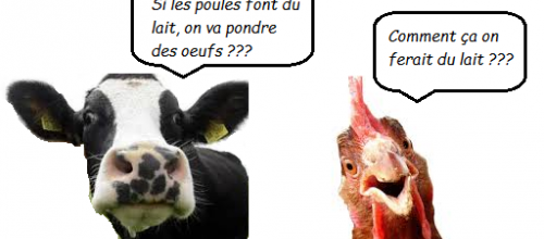 [R&T => Décembre] Le Lait de Poule