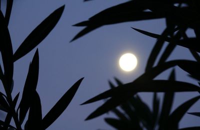 EB - Madame la Lune était bien belle ce matin...