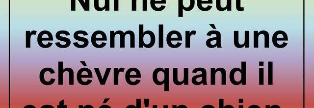 Proverbe belge
