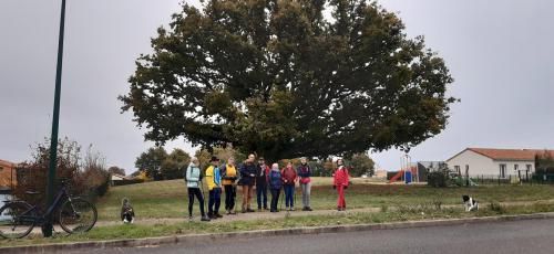 Randonnée Vouneuil - Béruges, 7 Nov 2021