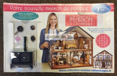 N° 1 Créez et décorez votre maison à colombages - Lancement 