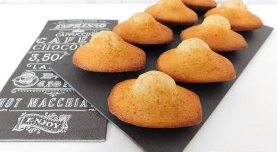 Madeleines au pralin