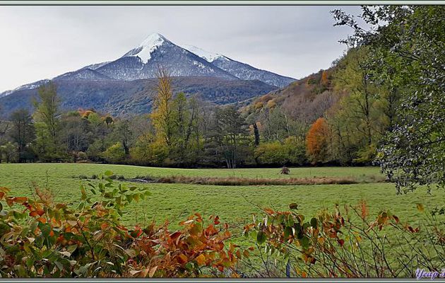 16/11/2019 : Couleurs d'un automne précocement neigeux sur le Pic Cagire (1911 m) vu entre Aspet et Milhas - 31, et photo ancienne vue du même endroit