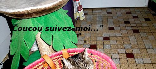 Léo, à lui cette fois-ci !