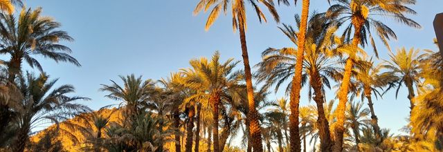 Depuis Essaouira le retour