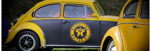 Meeting des Roswell's - Vihiers 2014