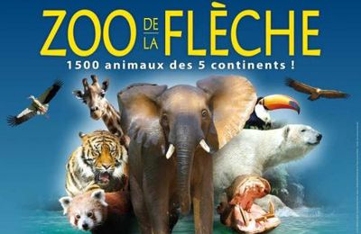 Le zoo de la flèche