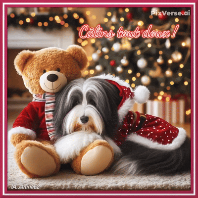 Belles Fêtes de fin d' Année - Photos de Noël de Tavia * Décembre 2025