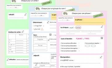 Etude de la langue : Plastifiches ! 