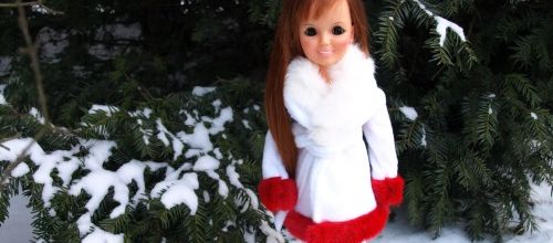 Crissy sous la neige