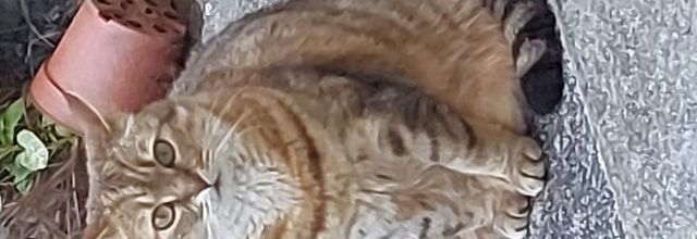Quya a 5 ans - 19-05-2019-2024