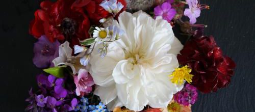 Tableau d'Ambiance : Avril