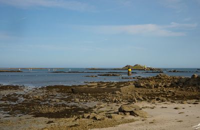 29 ... (et plus) : Roscoff différent. 1/3