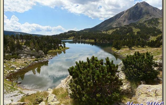 Paysages des Pyrénées (Année 2009)
