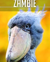 DOWNLOAD [PDF] {EPUB} Petit Futé Zambie