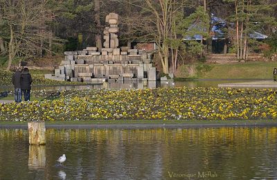 Parc Floral de Paris ou le printemps en hiver !
