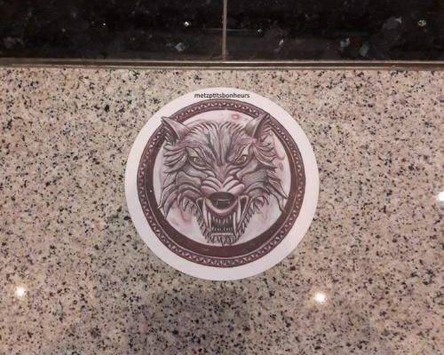 Dernière expo: les loups..