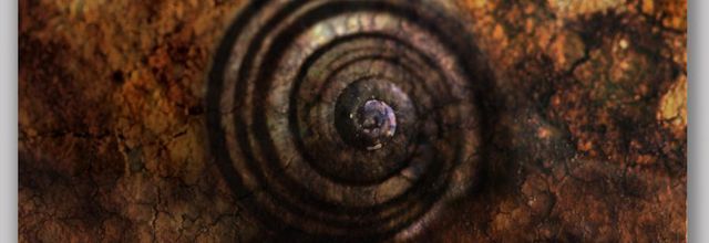 Comme une Spirale de Vie ...