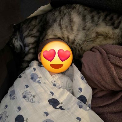 Bonne semaine à tous 