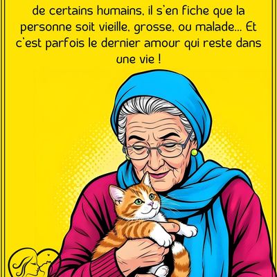 L'amour d'un chat