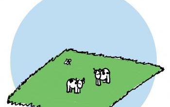 36- Les chats ont neuf vies.. mais savent pas quoi en foutre!