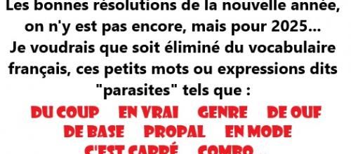 bonnes résolutions de vocabulaire français