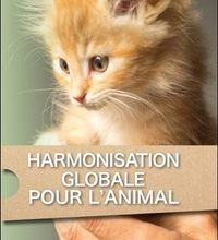 Read online: Harmonisation globale pour l'animal