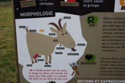 A la ferme du Botrai