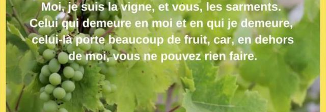 Homélie du 5ème dim/Pâques - Demeurer en Jésus - 28 avril 2024
