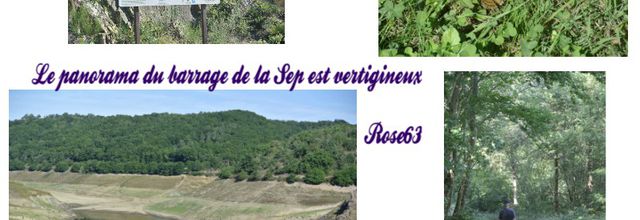 La dernière fois il était bien rempli , la canicule hélas est passée par là 