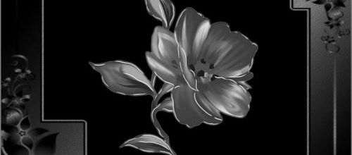  En noir et blanc.